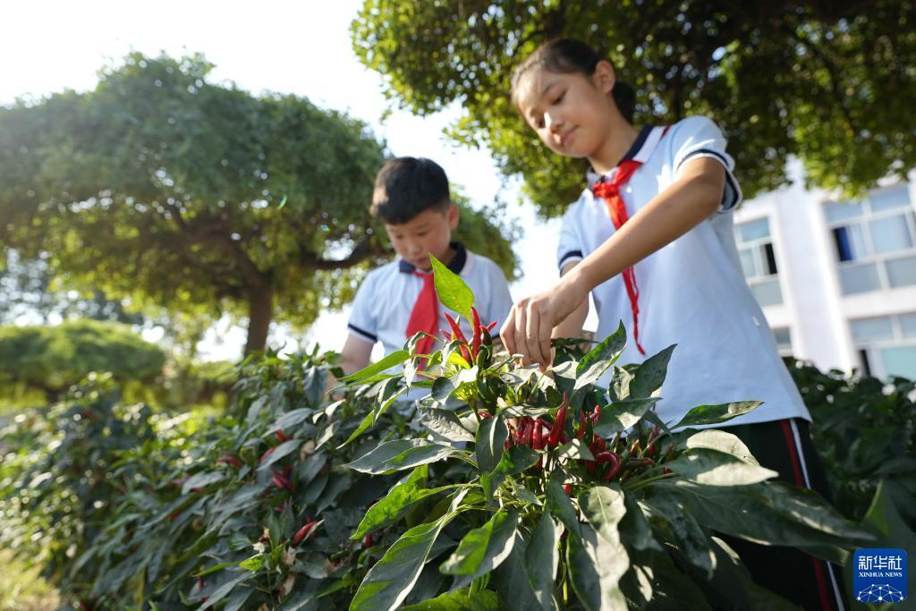巴黎人网站什么